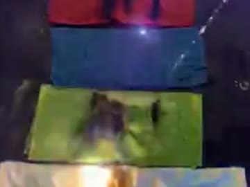 マウイ島で青い傘と青い車だけ燃えなかった理由