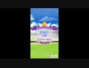 ウマ娘 チャンポンズミーティングDIRT 決勝