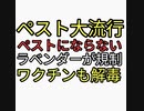 ペストはワクチン打った人がなります。ラベンダーを使用した看護婦だけペスト感染しなかった。そのラベンダーがワクチンも解毒するためか危険と規制の流れ。