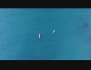 floating boat①