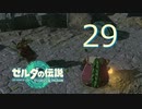 史上最強のバカ勇者による『ゼルダの伝説　ティアーズ　オブ　ザ　キングダム』　part29