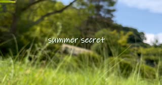 summer secret feat.AiSuu