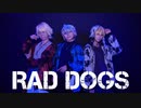 【刀剣乱舞】 RAD DOGS　踊ってみた　【山猫組】