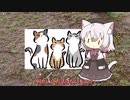 【400字朗読】猫の神様