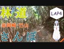 【COEIROINK車載】林道さんぽ＠岡崎ダート林道【セロー】