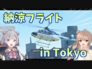 【MSFS】コンクリートジャングルを駆ける納涼フライト