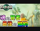 【ゼルダの伝説TOTK】ミネルと盟約を交わし、そして全てを語る【ティアキン】#96