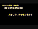 紅子の宇宙船 －音声版－ 2023年08月23日