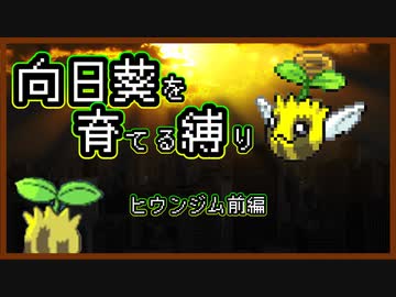 【実況】ヒマナッツがひん死になったら現実で向日葵を育てる縛り（BW版・Part⑥）