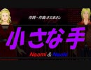 【Naomi＆Naoki】小さな手【カバー曲】