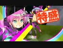 【MUGEN大祭】特盛りシングルトーナメント　Part228-B