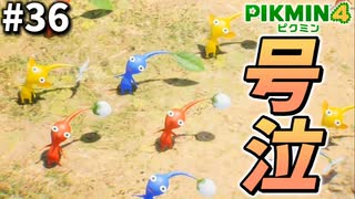 最高のゲームをありがとう【ピクミン4】#36
