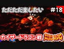 【スーパーマリオRPG攻略】ただただ楽したいスーパーマリオRPG#18　カイザードラゴン戦