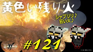 あの有名な大昇降機の周辺を探索したり黄色く燃えさかる狂い火に翻弄されたりします【初見】エルデンリング実況／盗賊王物語【オフライン】#121