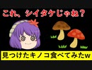 森で見つけたキノコを食べてみた