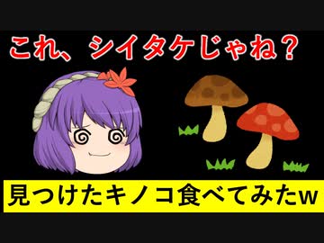 森で見つけたキノコを食べてみた