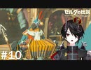 見覚えのありますね[ゼルダの伝説 ブレスオブザワイルド]＃１０