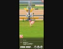 新春ウララで菊花賞(クラシック三冠)に挑戦(レース前～結果)
