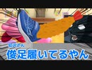 【クトゥルフ神話TRPG】犯罪者達と征くクトゥルフ神話TRPG 【猫レクラ卓】