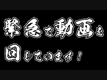 青年週末旅行　趣味篇　＃2　緊急で動画を回しています。