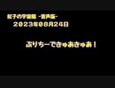 紅子の宇宙船 －音声版－ 2023年08月24日