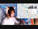 【あかねこ】はらへりのみざ。2023年8月17日