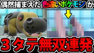 【実況】ポケモンSV あの色違いポケモンが３タテ量産する動画