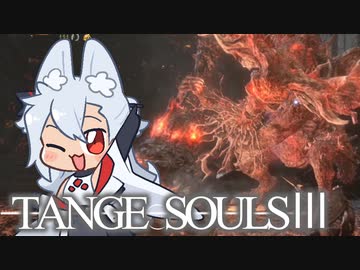 【DARKSOULSⅢ】TANGE SOULSⅢ　#19