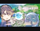 コイノミタマンタタビ