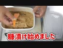 糠漬けやめました。【新輝合成 トンボ ぬか漬け 保存容器 3.5リットル 角4型】