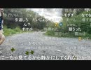 【ニコ生】ユキちゃんスクール水着で楽天ポイントダンス
