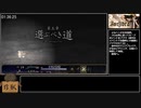 ASTLIBRA Revision 追章無しRTA 4:16:54 Part 6/15