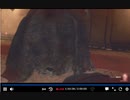2023年　8月25日　さとし先輩　アラフィフのバイオ４Re初見　PART５　1of2
