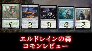 [MTG]パウパー目線で見る！「エルドレインの森」コモンレビュー[番外編]