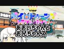 【V3DC】チーム葵ちゃんとお兄ちゃんズのアリアルさん(たけよ視点)