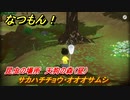 なつもん！　昆虫の場所　天狗の森（昼）　サカハチチョウ・オオオサムシ　昆虫集めてステッカーを貰おう！　＃７０２　【なつもん！20世紀の夏休み】