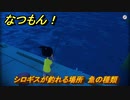 なつもん！　シロギスが釣れる場所　魚の種類　＃７０９　【なつもん！20世紀の夏休み】