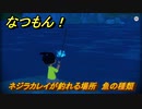 なつもん！　ネジラカレイが釣れる場所　魚の種類　＃７１１　【なつもん！20世紀の夏休み】