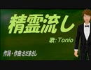 【TONIO】精霊流し【カバー曲】
