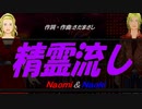 【Naomi＆Naoki】精霊流し【カバー曲】