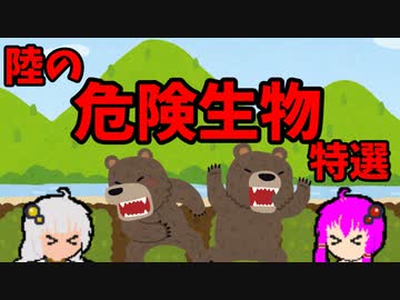 【VOICEROID解説】ゆかり先輩と見る危険生物【陸編④】
