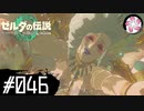 【ティアキン＃46】凡人が行く龍泪旅