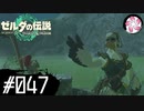 【ティアキン＃47】凡人が行く龍泪旅