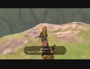 【Switch】リンクがゾナウとゼルダ探し旅【プレイ動画】part30