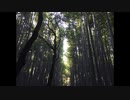 オリジナルソング「軽蔑という逃げ道」
