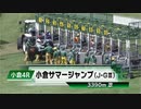 【競馬】2023年 第25回小倉サマージャンプ(J・GⅢ)【テーオーソクラテス / 小坂忠士】