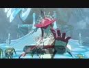 【実況】ハイラルソードTK　その25