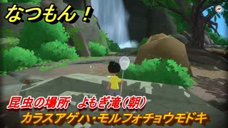 なつもん！　昆虫の場所　よもぎ滝（朝）　カラスアゲハ・モルフォチョウモドキ　昆虫集めてステッカーを貰おう！　＃７１９　【なつもん！20世紀の夏休み】