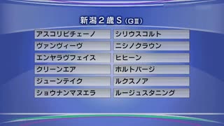 最終追い切り新潟２歳S2023 GⅢ