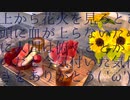 【VOICEROID会話録】夏真っ逆さま